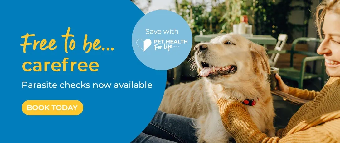 Vets in Ilford, Essex | Vets in East London | Vets in Goodmayes